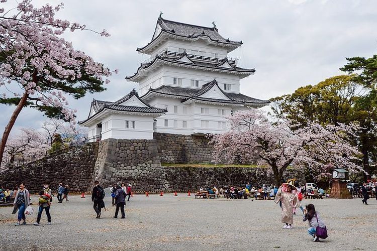 Jepang Menjadi tempat rekreasi solo traveler